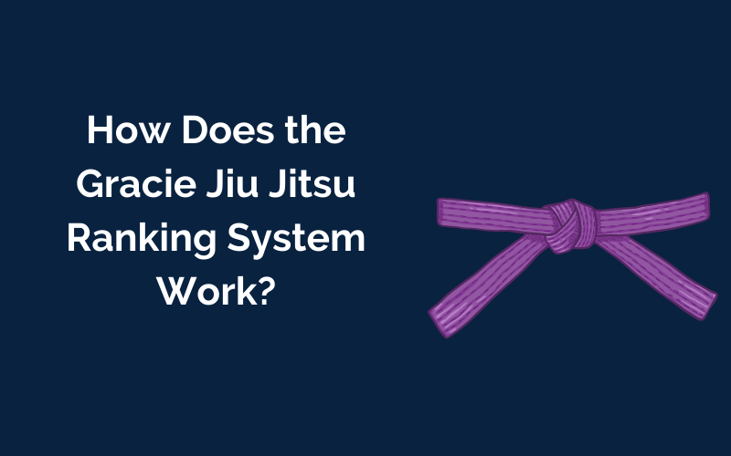  blog by Ellis  Martial Arts How Does the Gracie Jiu Jitsu Ranking System Work