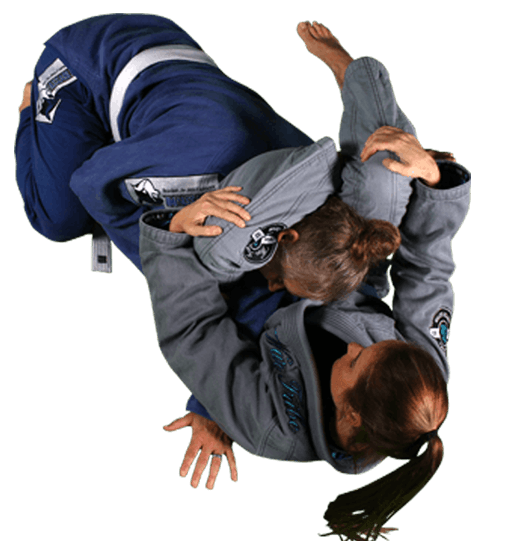 Royce Gracie Jiu Jitsu